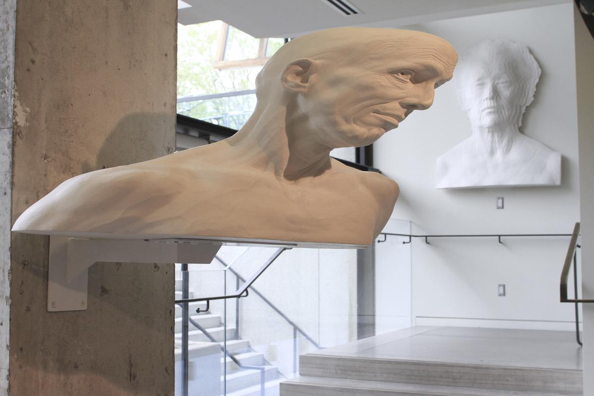 An installation image of Evan Penny's production plasters