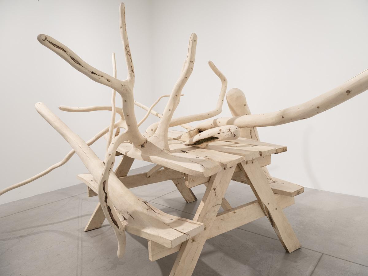 A full work image of Hugh Hayden's sculpture, Can't we all just get along. This sculpture is a wooden picnic table with phallic-like appendages branching out of the table in various directions 