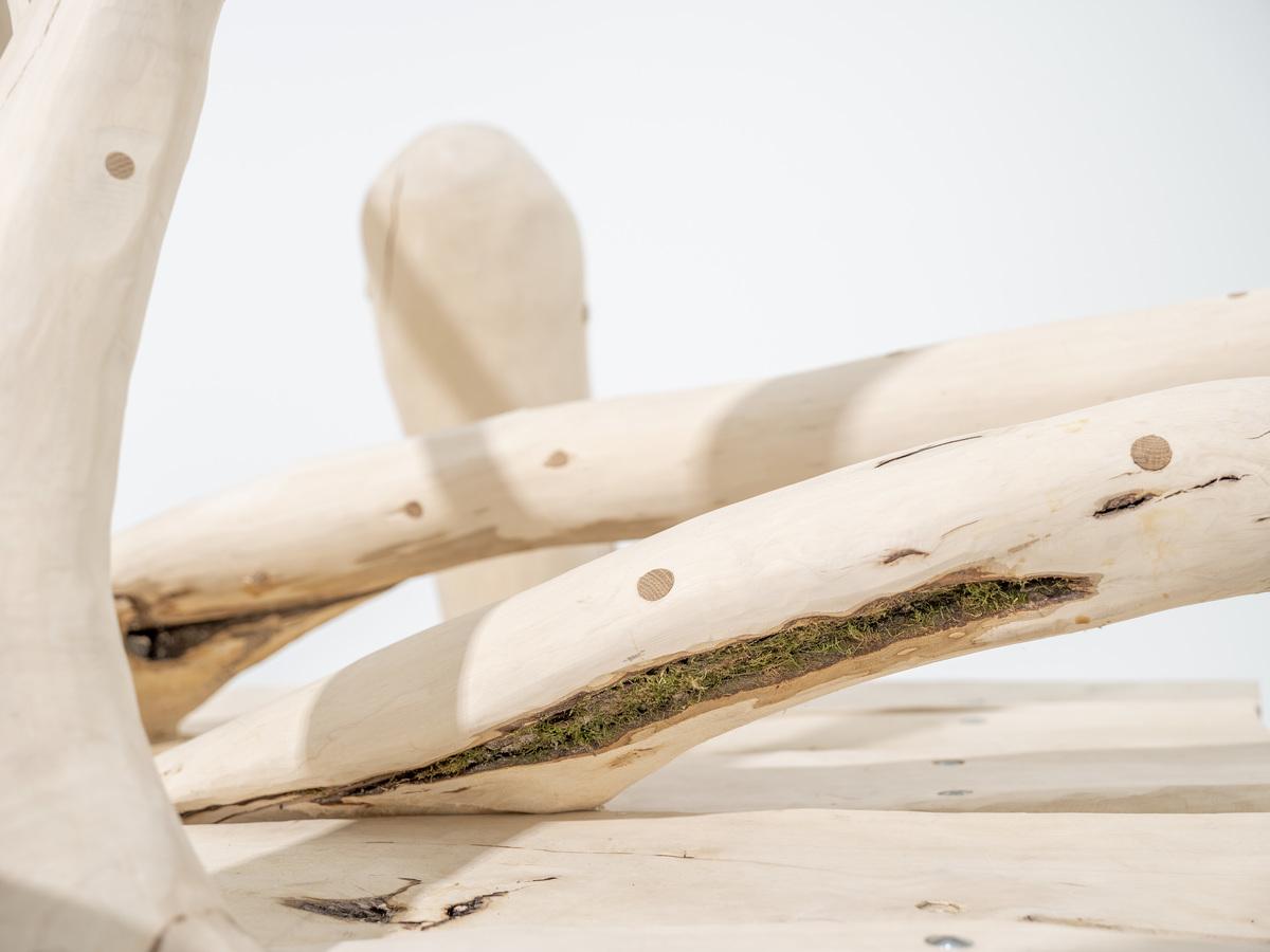 A detail image of Hugh Hayden's sculpture Can't we all just get along (2020). This image is a close up of one of the branches that has natural moss in it