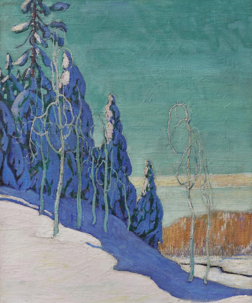 A clear winter landscape showing a snow covered slope with trees in the background
