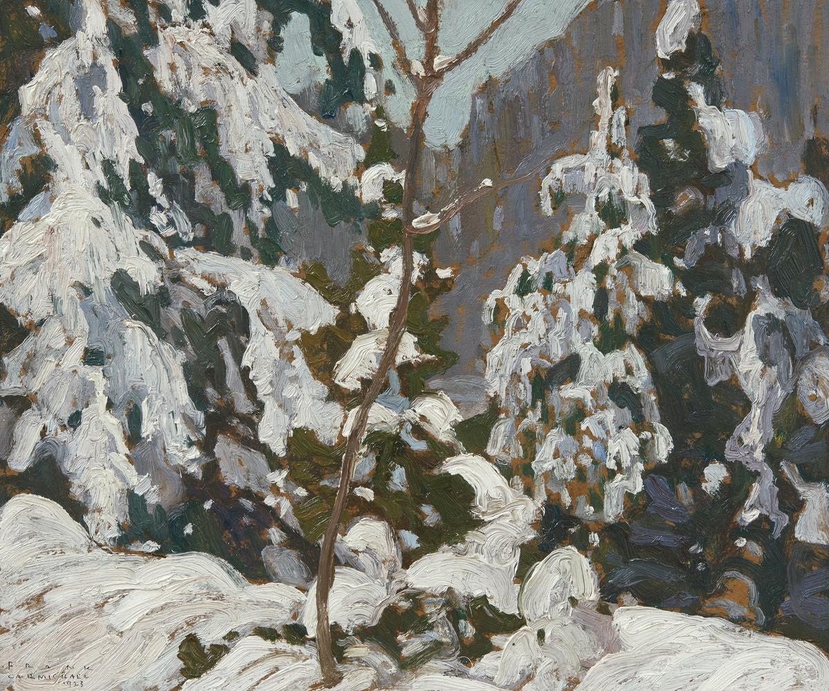 a wilderness landscape of snow covered trees
