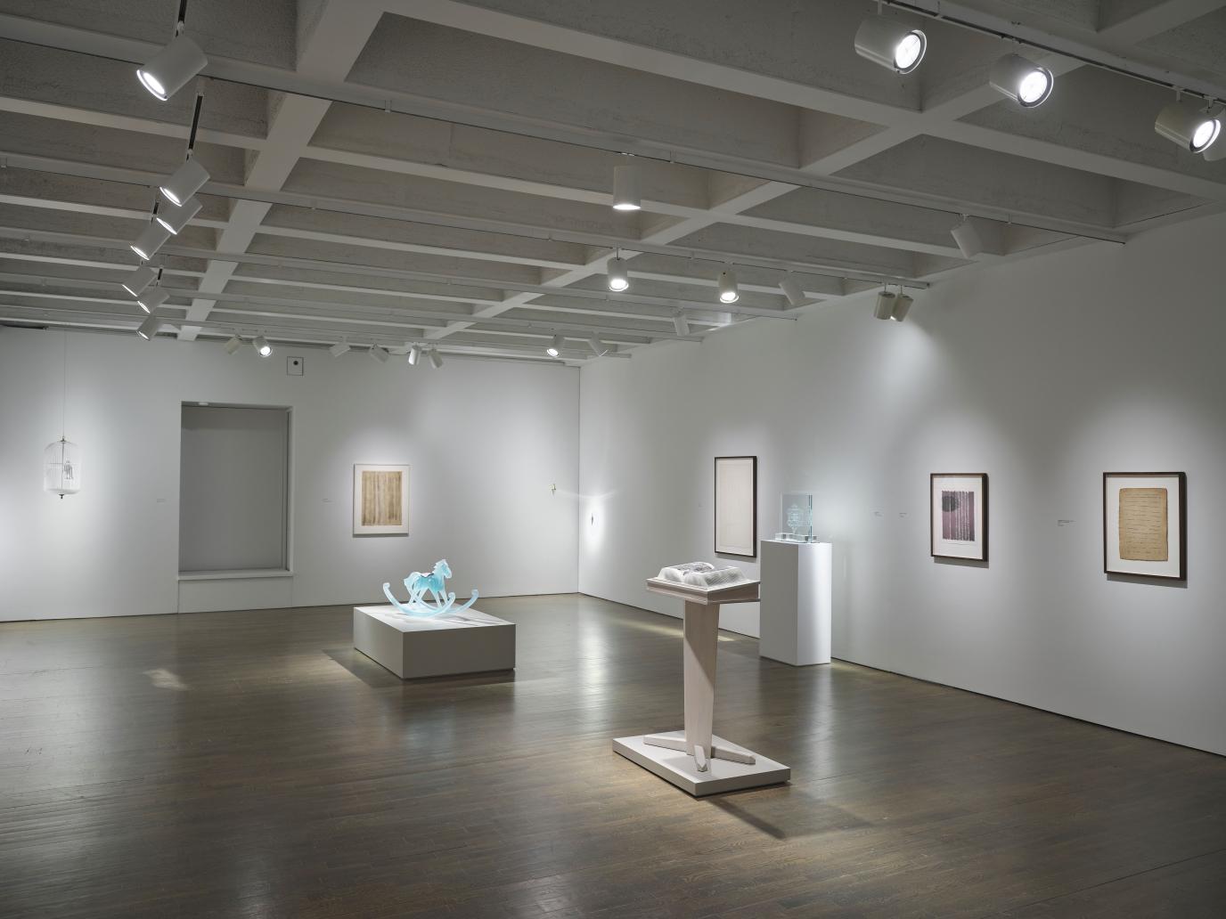Tim Whiten: A Little Bit of Light 2
