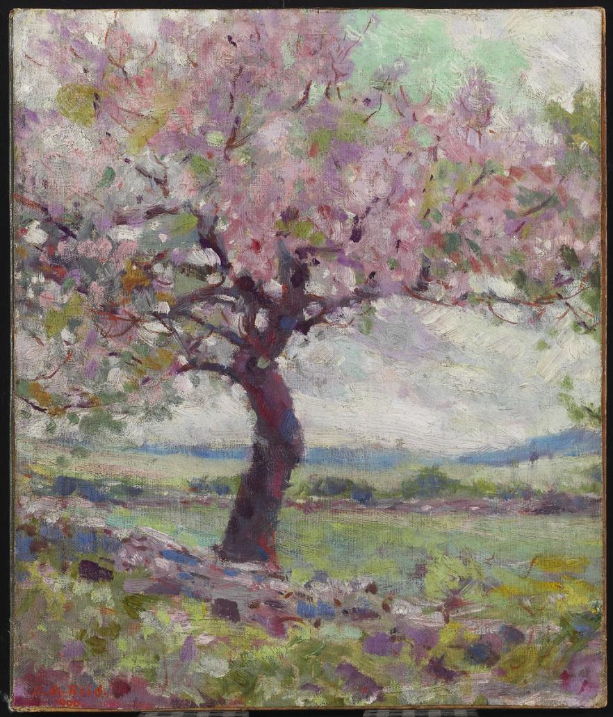 painting of a tree in pink blossom