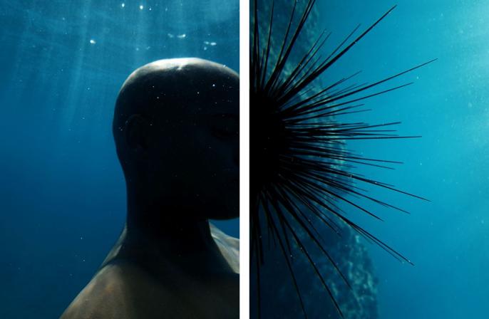 Nadia Huggins, Transformations No. 1, 2014. A photograph by Nadia Huggins.