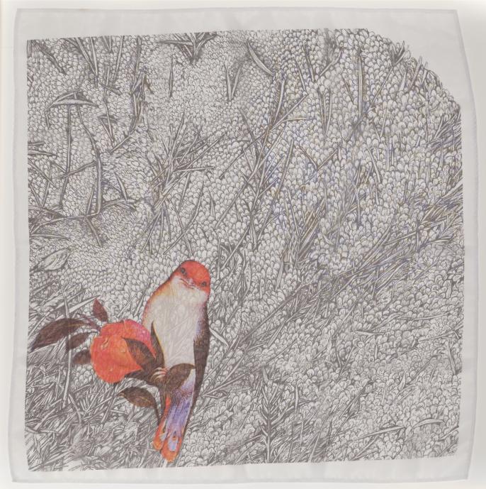 Niloofar Kasbi, Golo Morgh (Bird and flower)