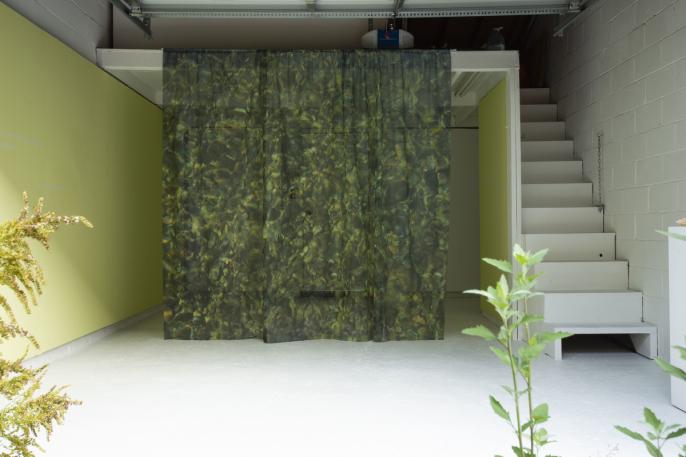 asinnajaq, where you go i follow