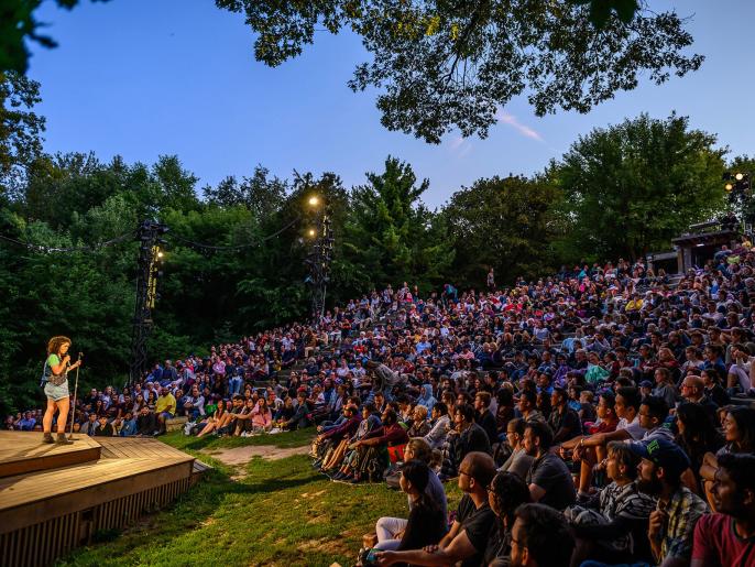 An image of the audience at Dream in High Park