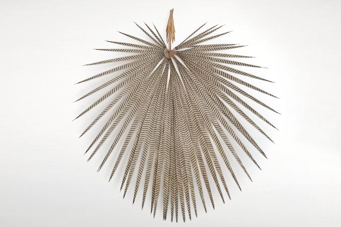 Blue Curry, Caribbean Queen (2020)