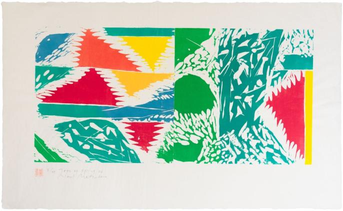 colourful woodcut print with multiple colours in red, green, blue, yellow