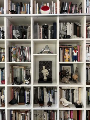 Bookshelf with art toy collection in John Wee Tom's home