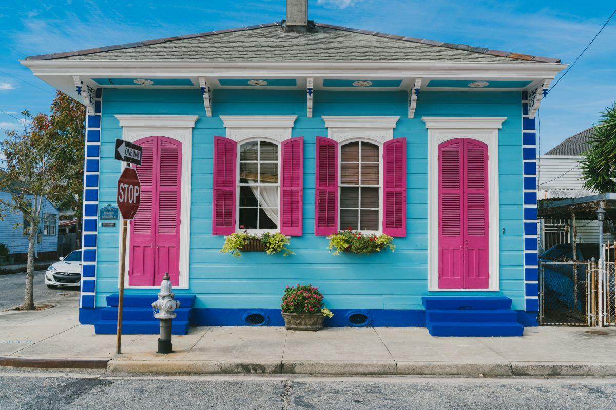 New Orleans Architecture by Paul Broussard.