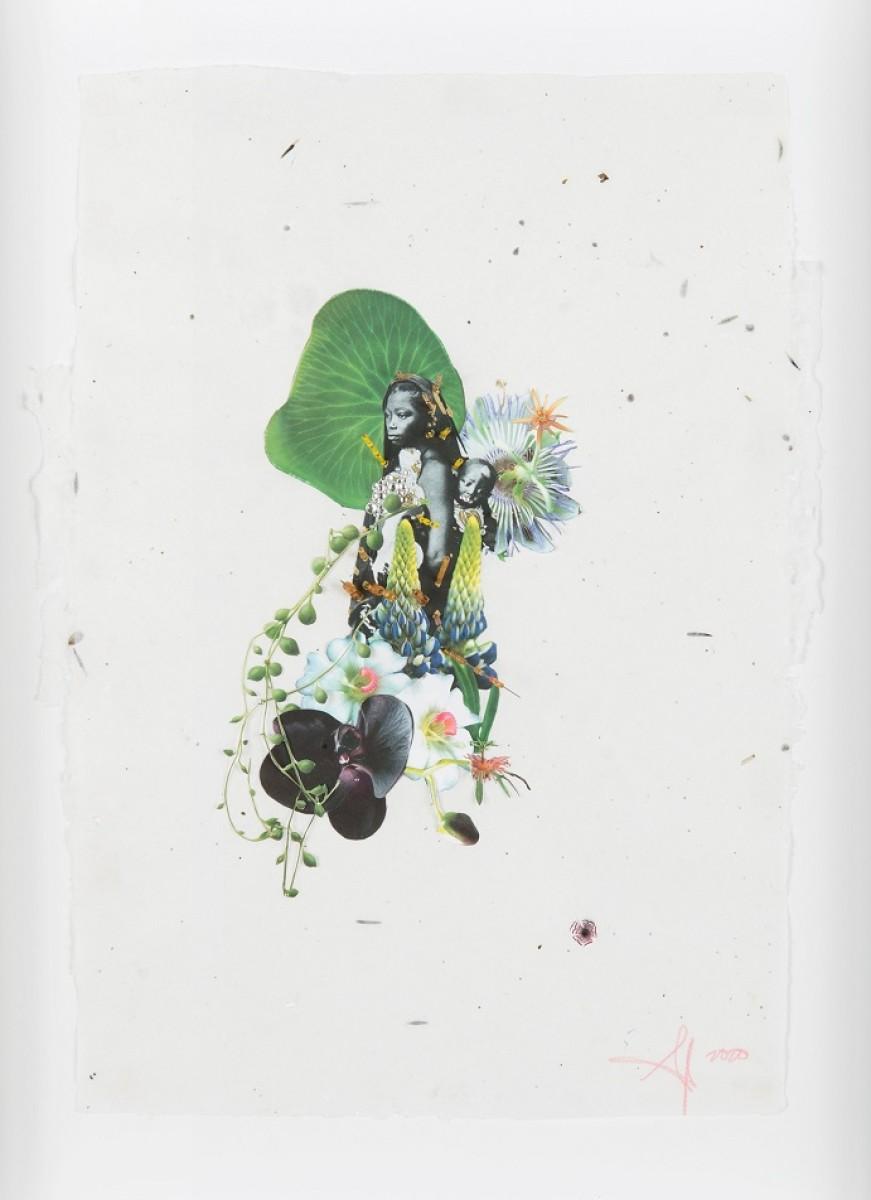 Andrea Chung. Colostrum V, 2020.