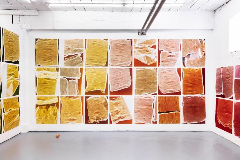 Lotus Laurie Kang, Her Own Devices, 2020.