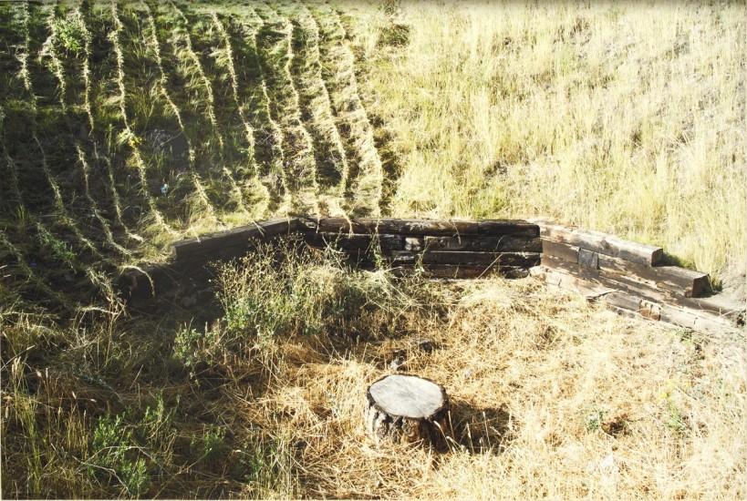 Gabrielle L’Hirondelle Hill, Braided Grass, 2013