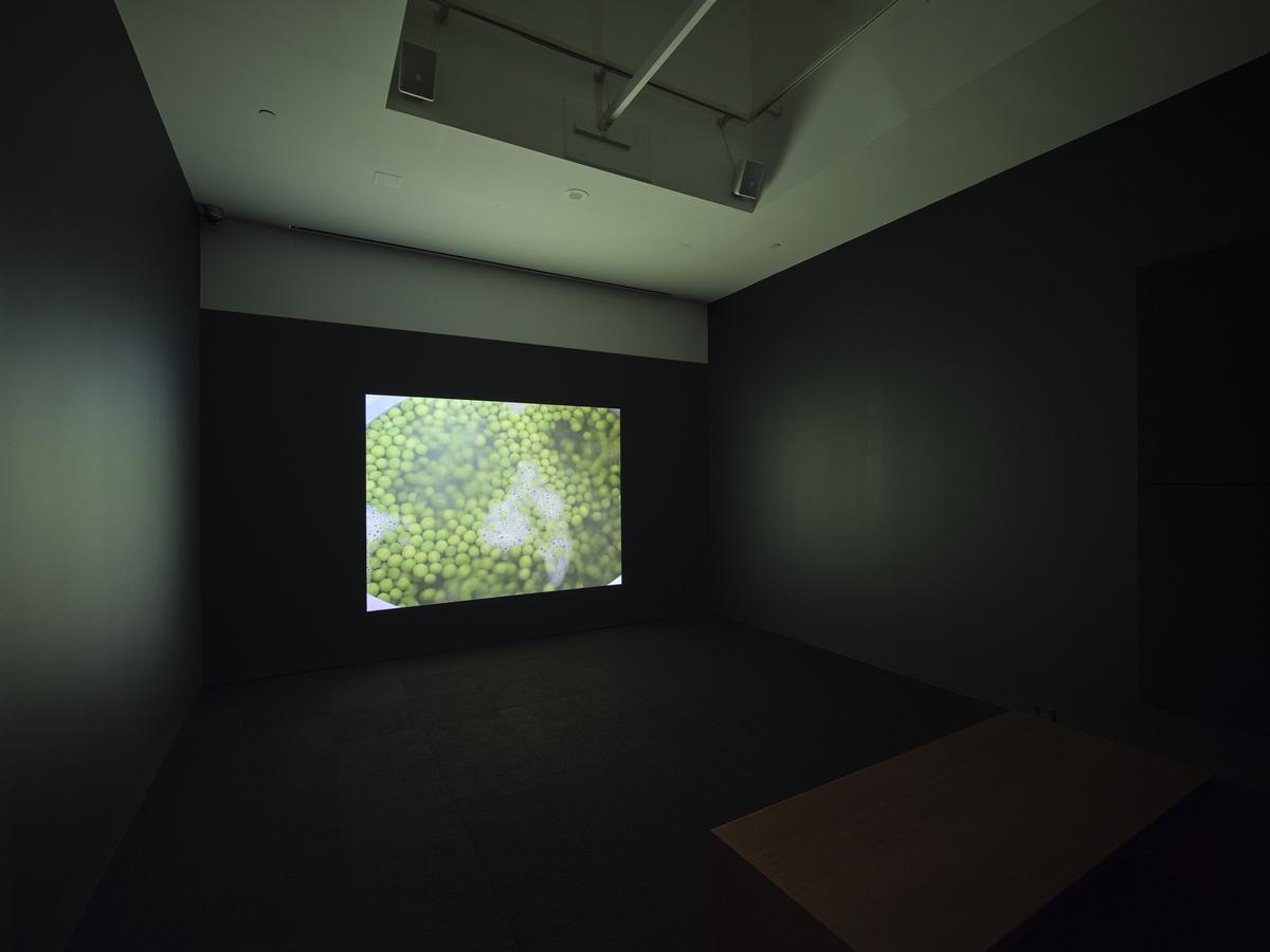 A still from Wolfgang Tillmans's video Peas, which features a close-up of peas boiling to the background sound of a preacher