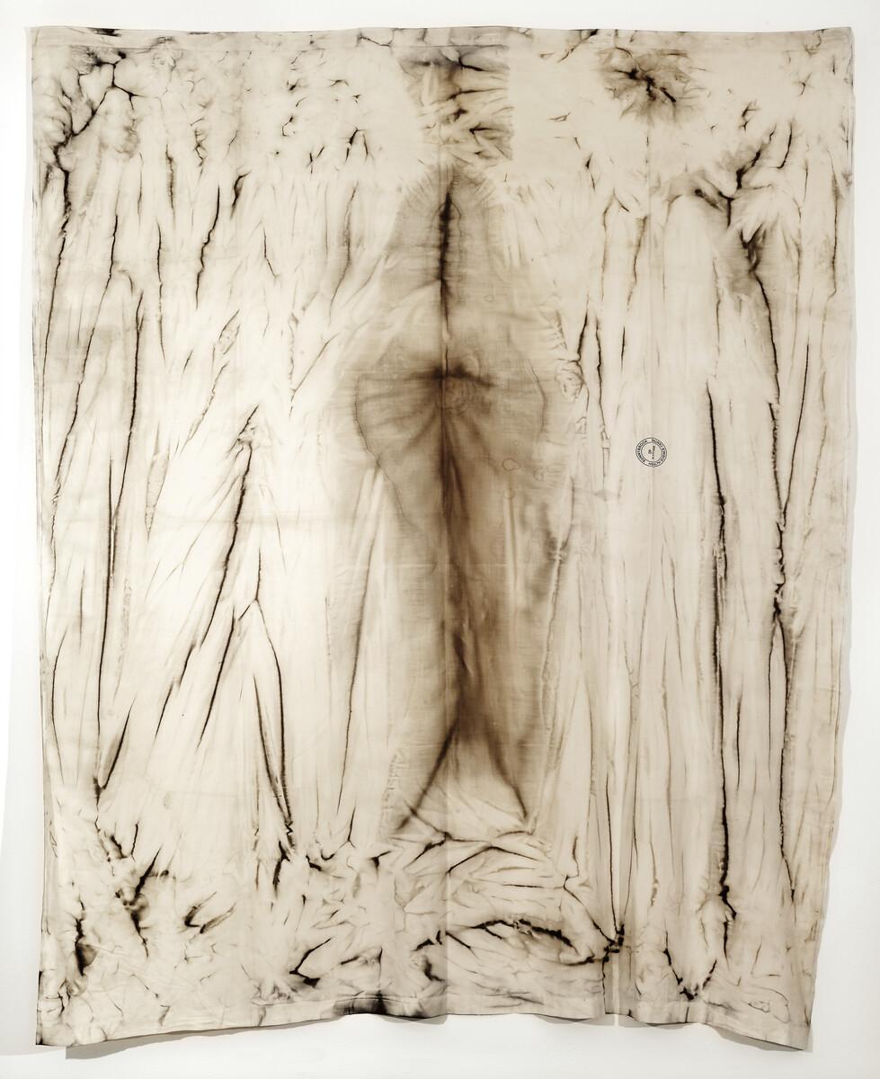 Tim Whiten. #9 Enigmata / Rose