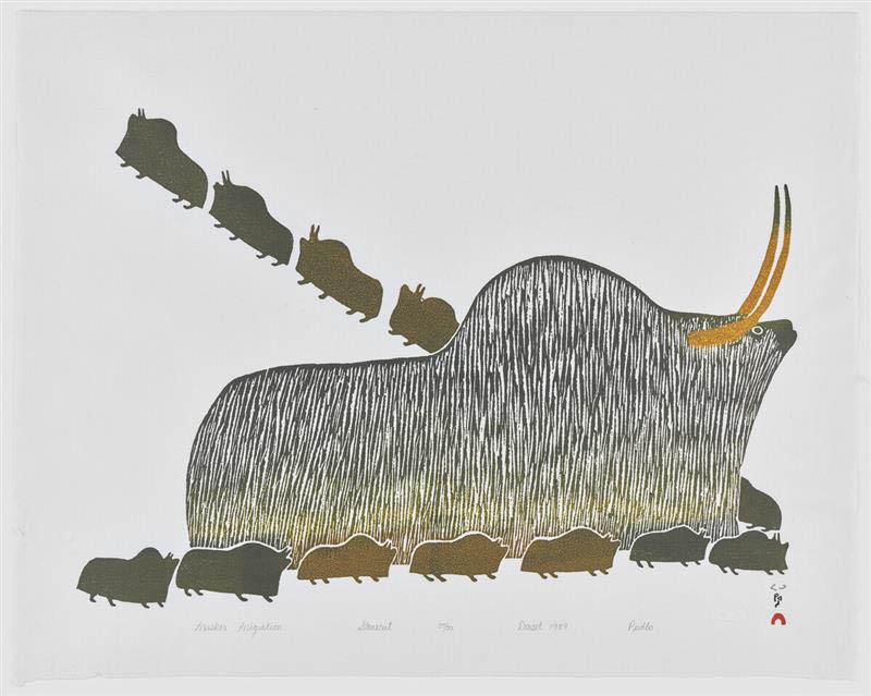 An image of Pudlo Pudlat's drawing Muskox Migration, which features a big muskox surrounded by smaller muskox migrating north on the paper.