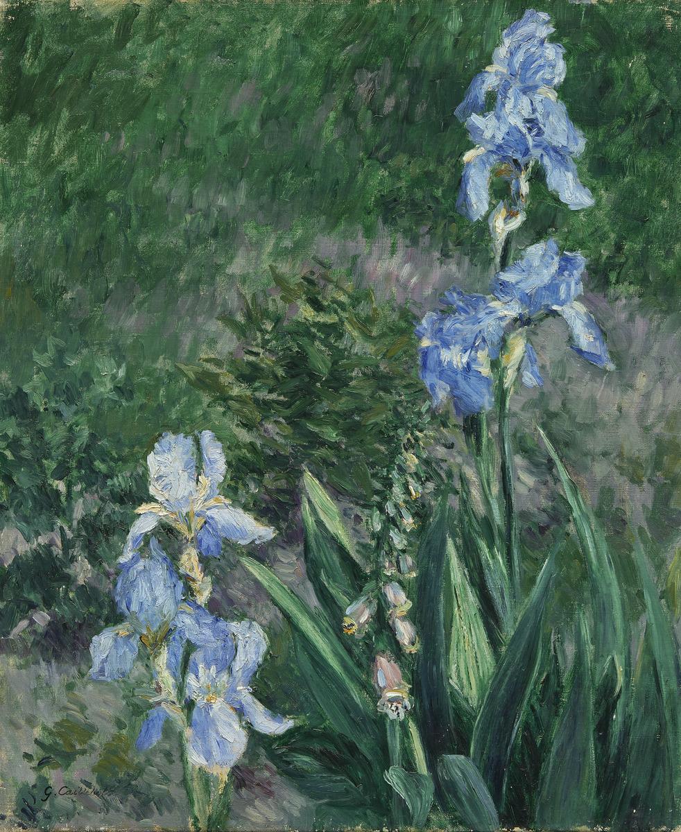 Gustave Caillebotte's painting Iris bleus, jardin du Petit Gennevilliers, which depicts two blue foxglove flowers in a green field.