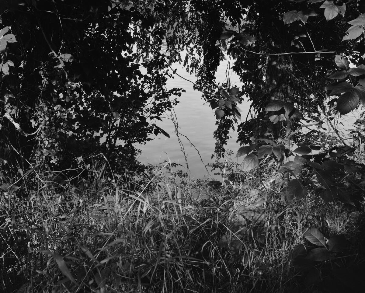 Dawoud Bey. Untitled (James River Through the Opening)