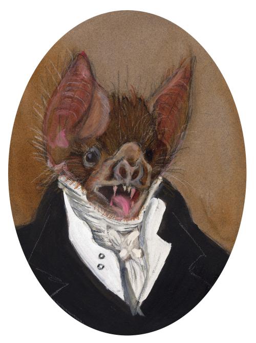 Blasko Bat, From the Gentleman Bat Portrait Series (2010)